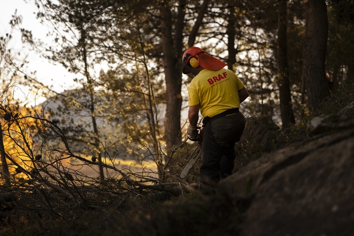 Les Brigades Rurals d'Actuació Forestal de la Diputació de Castelló, claus en la prevenció d'incendis a la província